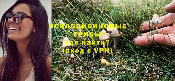 spice Новокубанск