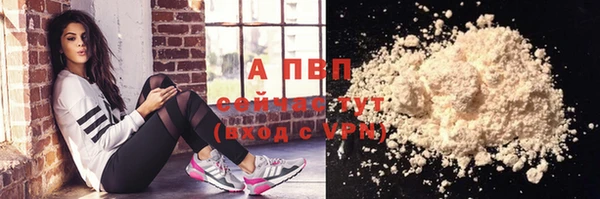 альфа пвп Новодвинск