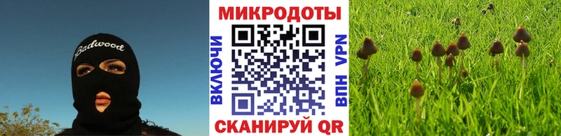 KRAKEN ссылка  Кирсанов  Галлюциногенные грибы Magic Shrooms 